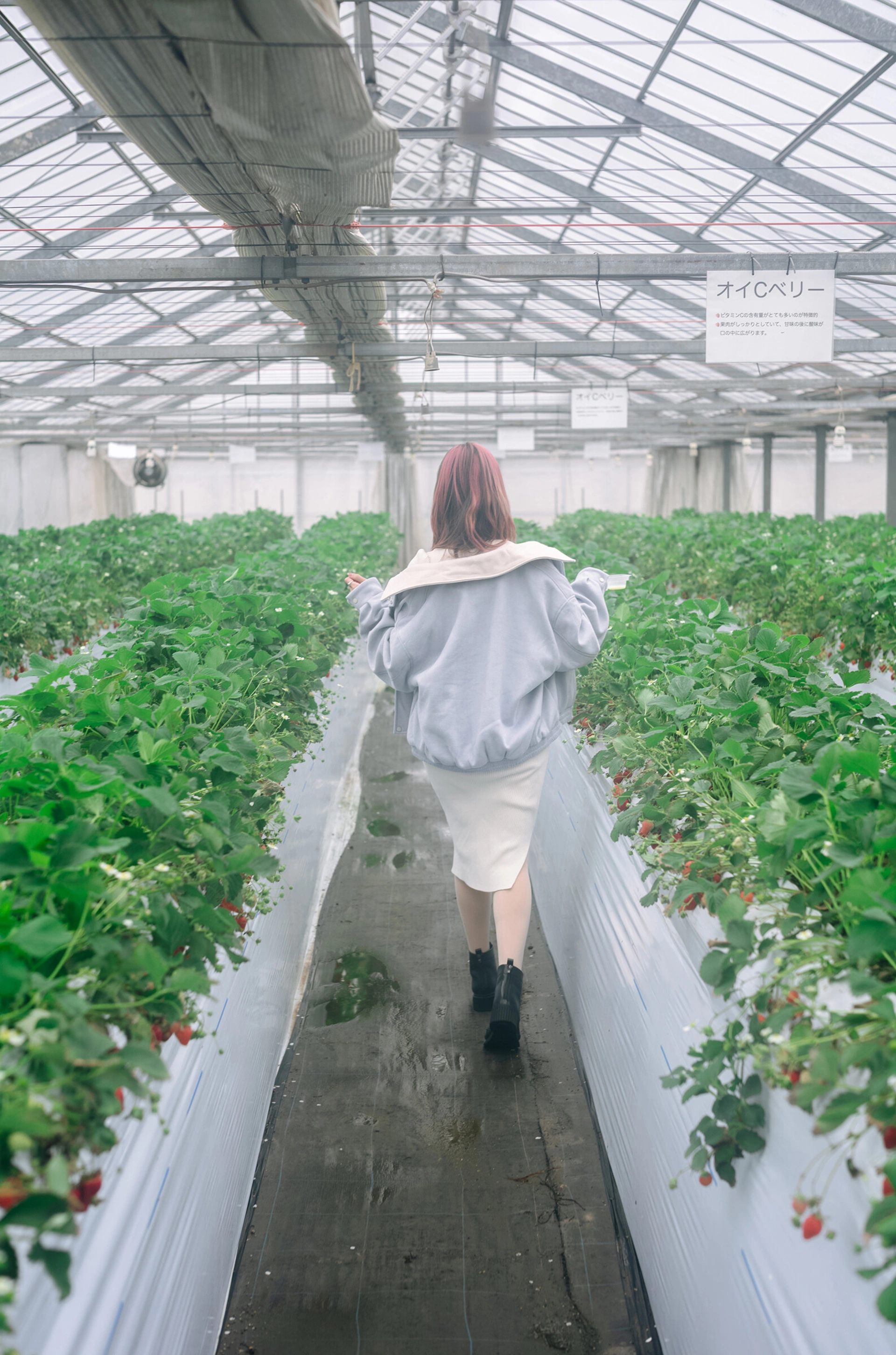 ElyEE子 – NO.205 Strawberry Picking Date 2
